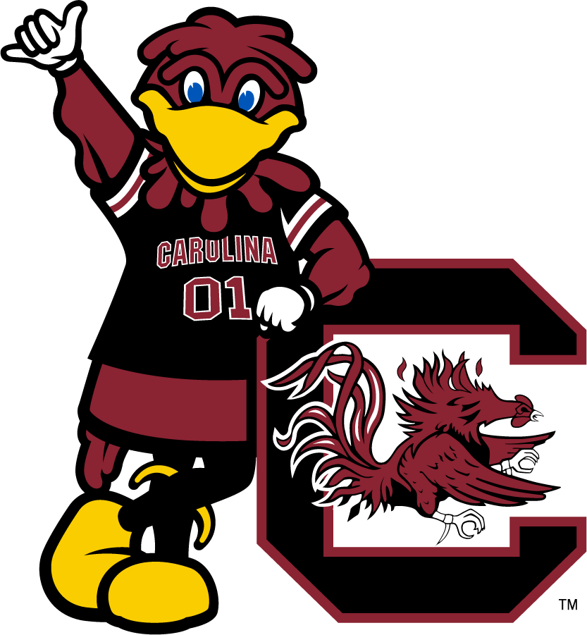 South Carolina Gamecocks 2014-2018 Mascot Logo v2 diy iron on heat transfer